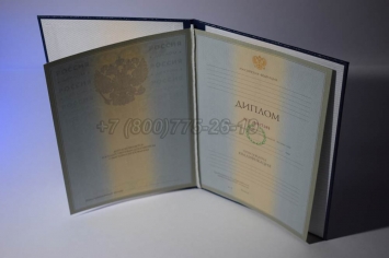 Диплом Университета 2008г в Сургуте