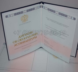 Диплом Аспирантуры 2024г в Сургуте