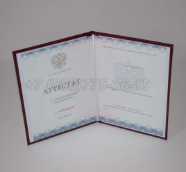 Аттестат За 11 Класс 2023г Золото ГОЗНАК в Сургуте
