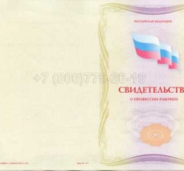 Свидетельство о Профессии Рабочего "Автоклавщик литья под давлением" в Сургуте