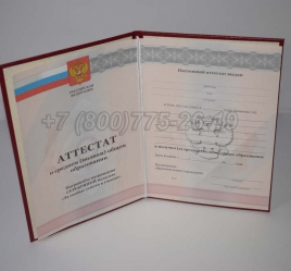 Аттестат За 11 Класс 2011г Серебро в Сургуте