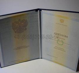 Диплом Института 2010г в Сургуте