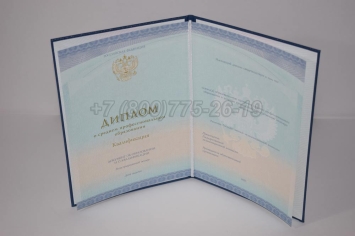 Диплом Колледжа 2024г СпецБланк в Сургуте